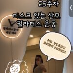 임신 중 허리 통증, 무조건 참아야 할까? 산모에게 필요한 운동의 기준